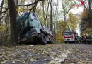 Oö: Lkw-Fahrer krachte gegen Baum