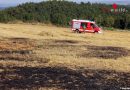 Oö: Flurbrände halten Feuerwehren in Urfahr-Umgebung auf Trab