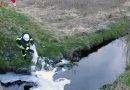 D: Feuerwehr bindet Öl in einem Wasserlauf