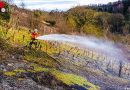 D: Erschwerte Löschmaßnahmen in einem Weinberg