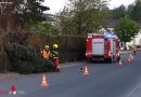 Oö: Sturmschaden am Ostermontag in Garsten