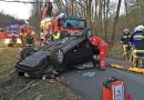 Bgld: Pkw kracht bei Jennersdorf gegen Baum → Lenker eingeklemmt