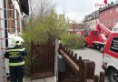 Nö: Personen- und Tierrettung in Folge in Maria Enzersdorf