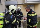 Nö: B4-Alarm bei Kellerbrand in Wiener Neustädter Mehrparteienhaus