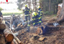 Oö: Holzstoß brennt am Waldbrand → Brandausbreitung verhindert