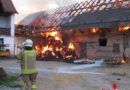 Stmk: Tierrettungen bei Wirtschaftsgebäudebrand in Graz