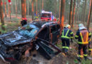 Oö: Frau kracht mit Pkw in Waldstück von Kirchschlag gegen Baum