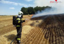 Oö: Zwei Feldbrände hielten insgesamt 11 Feuerwehren auf Trab