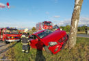 Nö: Lenkerin mit Auto in Feuersbrunn gegen Baum geprallt