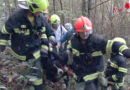 Oö: Abgestürzten Hund auf Burgruine Scharnstein gerettet