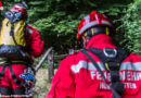 Oö: Windböe erfasst Gleitschirm → Rettung aus etwa 30 m Höhe in Peilstein