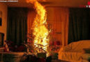 Bayern: 81-Jährige kann brennenden Christbaum in ihrer Wohnung in Senden löschen