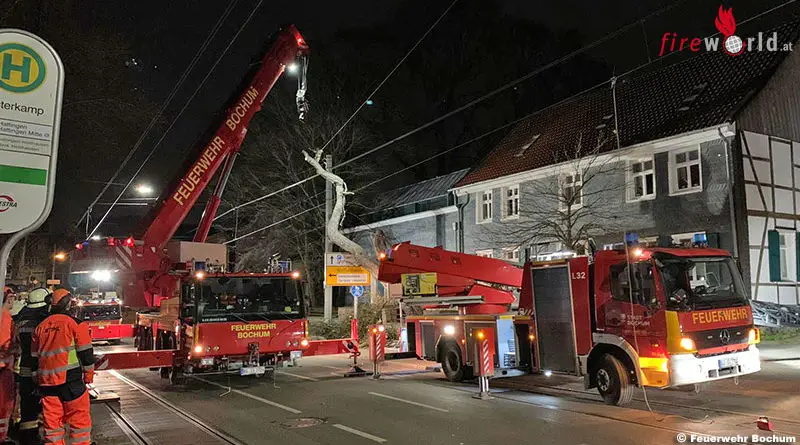 D Kran & Drehleitereinsatz Bochum Baum droht