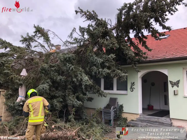 Nö Baum auf Haus & PkwUnfall in Felixdorf Fireworld.at