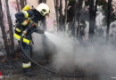 Nö: Heckenbrand → Feuerwehr verhindert Feuersprung auf Wohnhaus in Grafenwörth