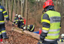 Stmk: Person bei St. Josef unter Baum eingeklemmt