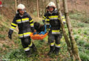 Stmk: Feuerwehr rettet in sumpfigen Bachbett feststeckenden Hund