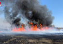 Bgld: Schilfbrand auf etwa zwei Hektar in Illmitz