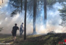 Oö: Anrainer halten Waldbrand in Lasberg in Schach