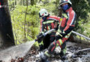 Vbg: Waldbrandeinsatz und Ölbinde-Einsatz unter Covid-19-Bedingungen in Schwarzach