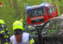 Oö: Auto prallt in einem Waldstück bei Weißkirchen an der Traun gegen Bäume