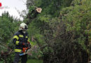 Oö: Stromausfall und Sturmschäden in Hartkirchen