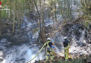 D: Wald brennt in Neustadt auf 1.000 Quadratmeter