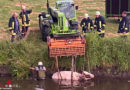 D: Kuh neben Bahngleis im Wasser → Rettung mit Teleskoplader