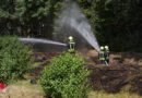 Oö: Wiesenbrand in Ansfelden