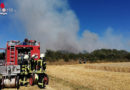 D: 5 Hektar Flächenbrand in Eigeltingen mit zweifacher Drohnenunterstützung