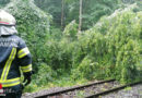 Oö: Baum blockiert die Schienen der Steyrtal Museumsbahn