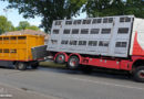 D: Gelöste Laderampe schaukelt Lkw in Gelsenkirchen hoch