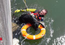 Bayern: Labrador in München aus dem Isarkanal gerettet