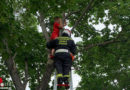 Nö: Fußball am Baum → FF Wr. Neudorf rettet Buben aus Geäst