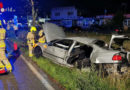 Nö: BMW nach Kollision mit Baum in Felixdorf an der Bodenplatte geteilt