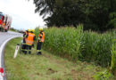 Oö: Mit Pkw in Fischlham ab ins Maisfeld