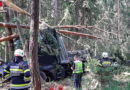 Stmk: Sattelschlepper bei Bad Waltersdorf von A2 abgekommen und in Waldstück gelandet