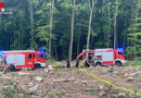 D: Waldbrand am Morgen in Iserlohn