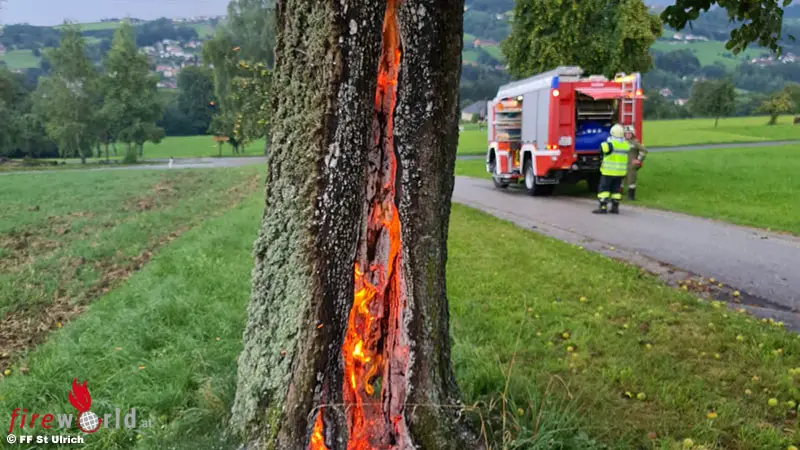 Oö Baum brennt nach Blitzschlag im Inneren Fireworld.at