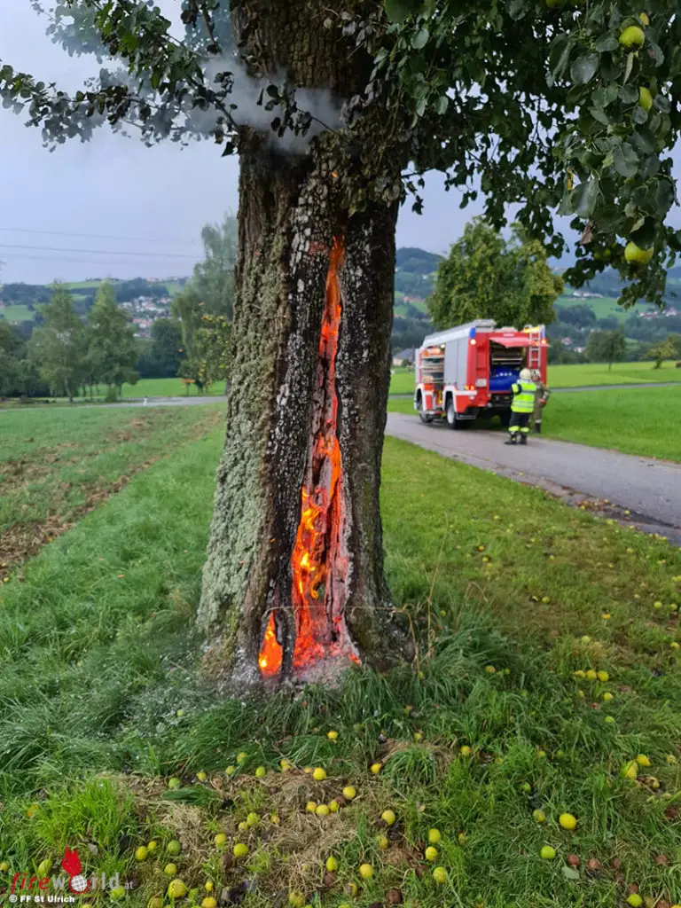 Oö Baum brennt nach Blitzschlag im Inneren Fireworld.at