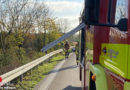 D: Ein „schafer“ Einsatz für die Ratinger Feuerwehr