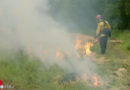 Doku-Bayrischer Rundfunk: Sind große Waldbrände ein Problem für die deutschen Feuerwehren?