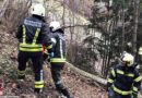 Oö: Nach einer Stunde zu Eingeklemmten unter Baum alarmiert → Taurettung in Ternberg