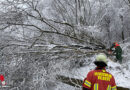 D: Löschfahrzeug knapp von Baum verfehlt → fast 40 Schneebruch-Einsätze in Velbert