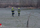 Oö: Nach Wiesenausritt und Gespräch mit der Feuerwehr Fahrt wieder fortgesetzt