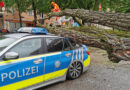 Bayern: Streifenwagen der Polizei in München von Baum „erschlagen“