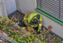 D: Feuerwehr Dresden befreit Hasen aus Lichtschacht & Pkw-Brand im Parkhaus