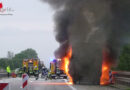 D: Olivenbäume brennen auf der Autobahn A 61 bei Gensingen