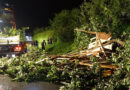 Oö: Langwieriger Sturmschaden → gespaltener Baum mit zweistöckigem Baumhaus in Haslach / Mühl