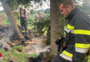 Stmk: Blitzschlag verursacht Waldbrand in Kindberg → größeres Feuer verhindert